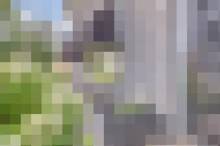 Leestenseweg 18 Zutphen thumbnail 6