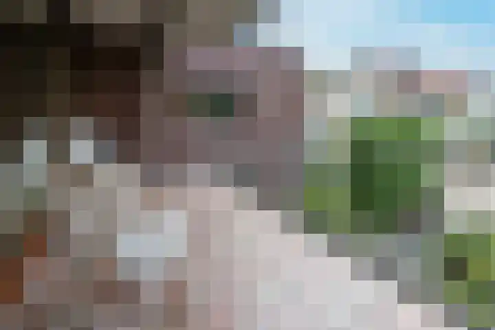 Leestraat 8 A Baarn thumbnail 10