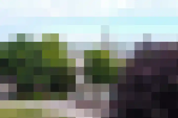 Leestraat 8 A Baarn thumbnail 20