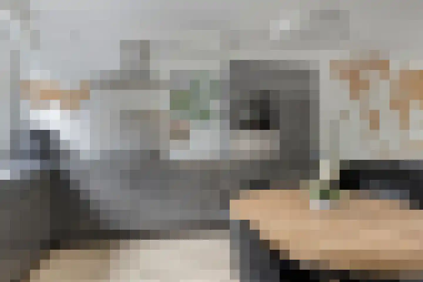 Leeststraat 17 Alkmaar thumbnail 11