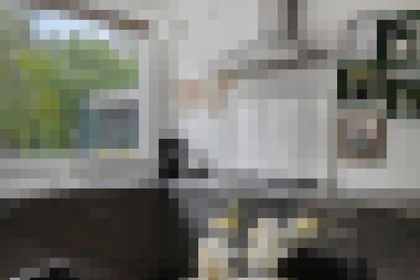 Leeststraat 17 Alkmaar thumbnail 12