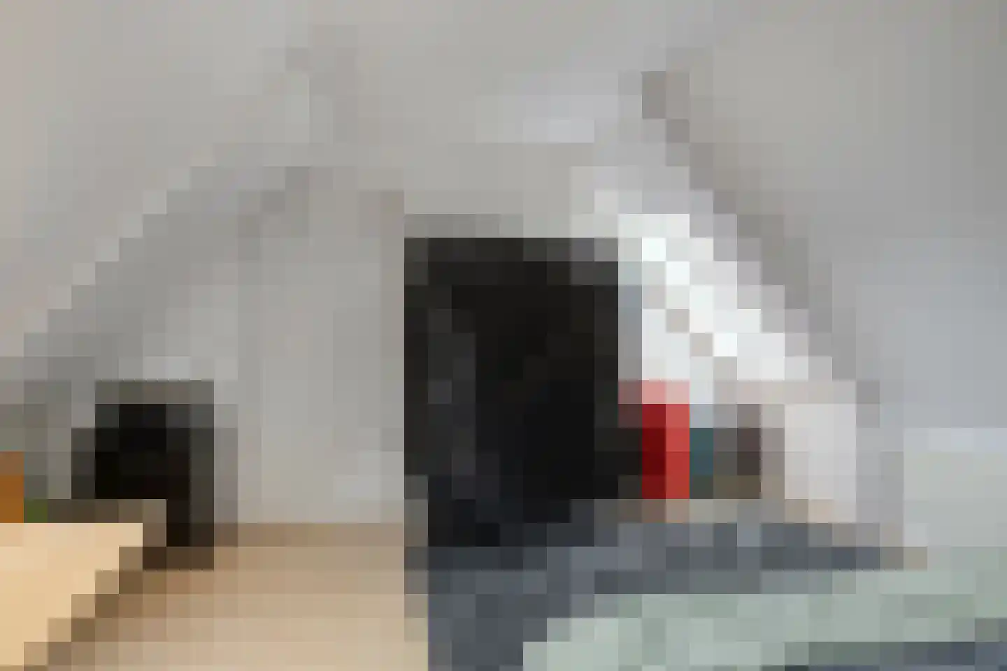 Leeststraat 17 Alkmaar thumbnail 33