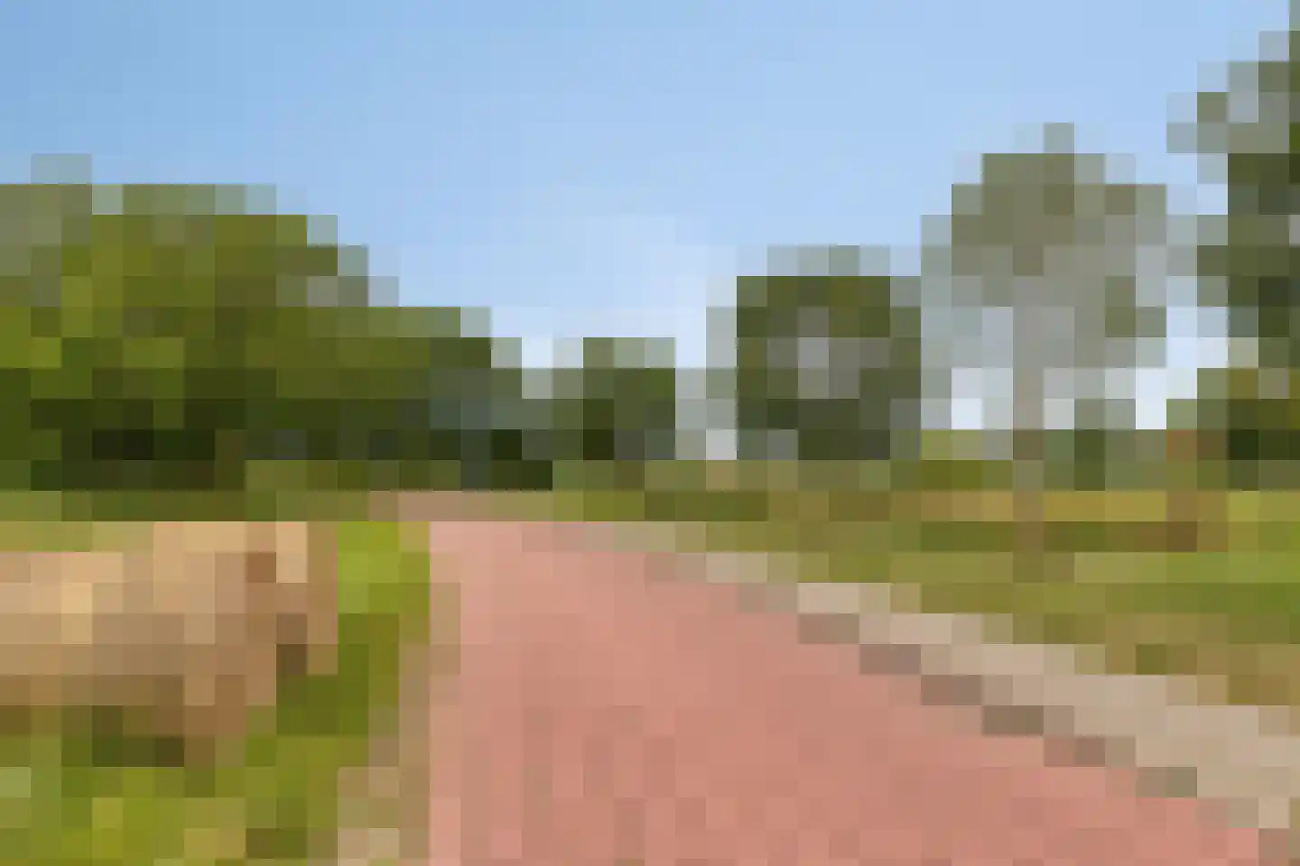 Leeststraat 17 Alkmaar thumbnail 41