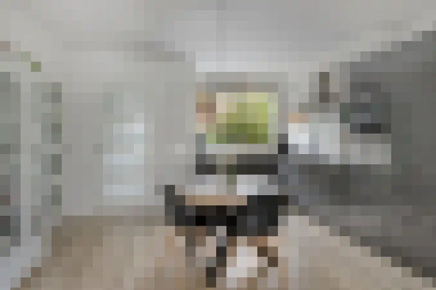 Leeststraat 17 Alkmaar thumbnail 8