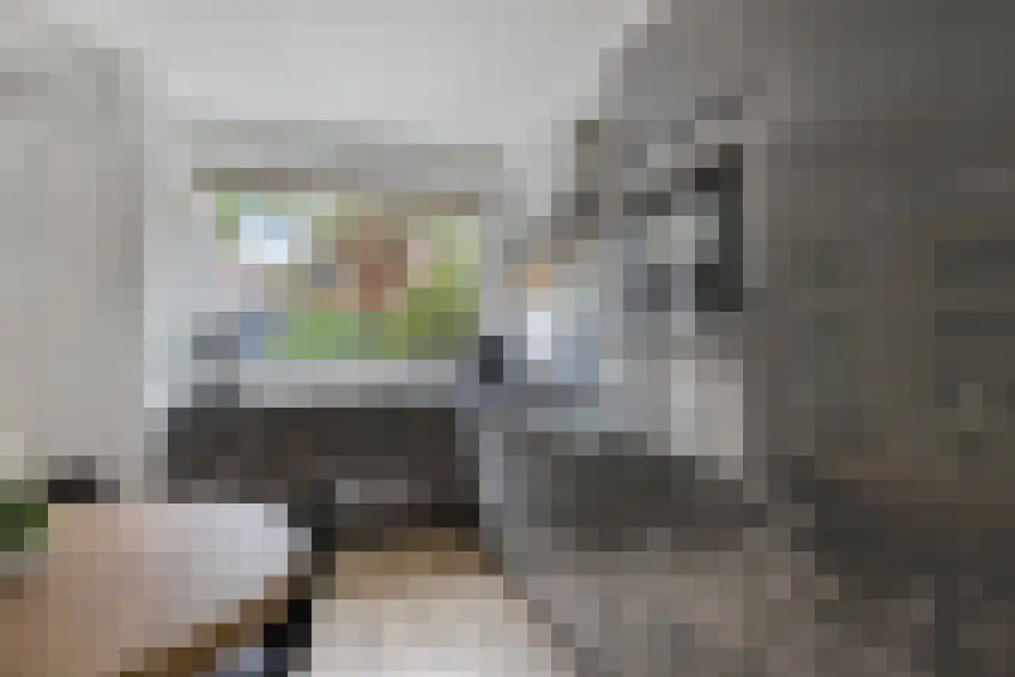 Leeststraat 17 Alkmaar thumbnail 9