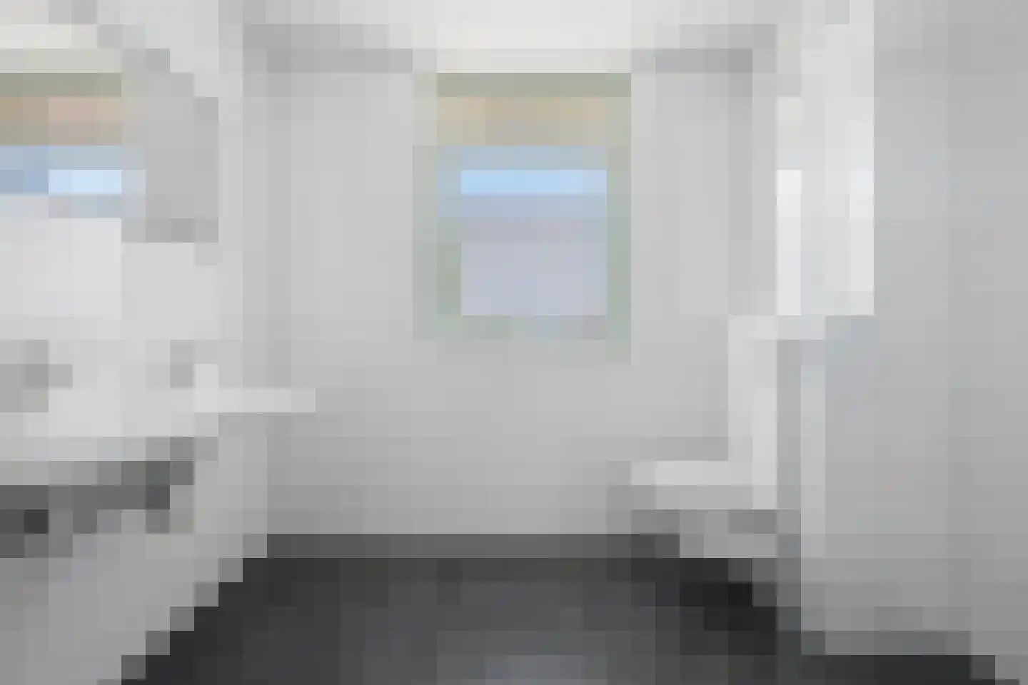 Leeuw 13 Elst thumbnail 18