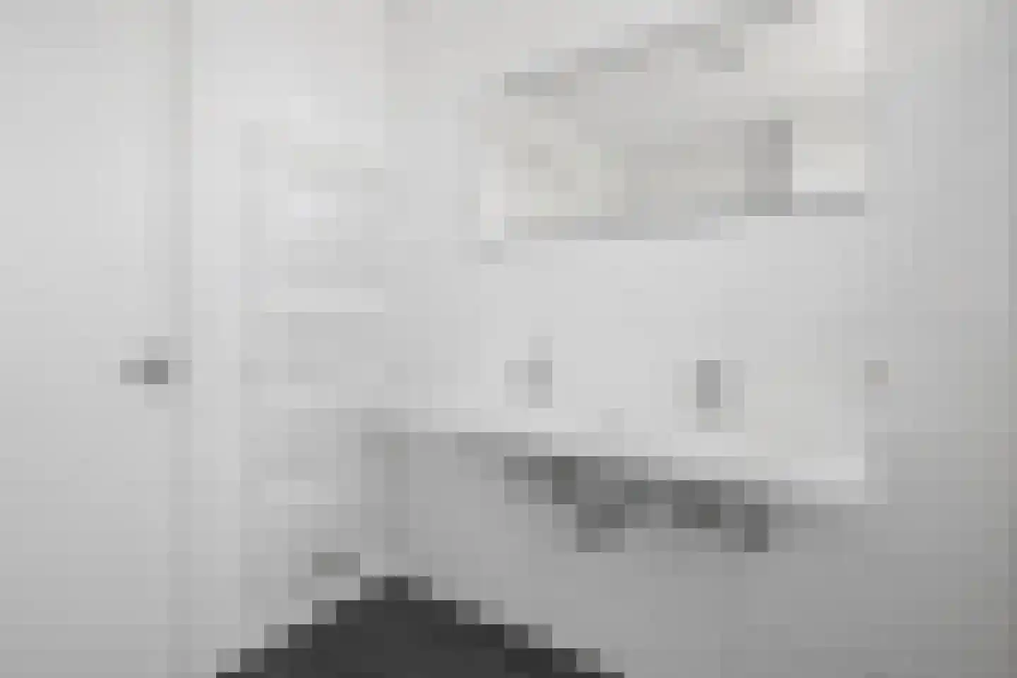Leeuw 13 Elst thumbnail 20