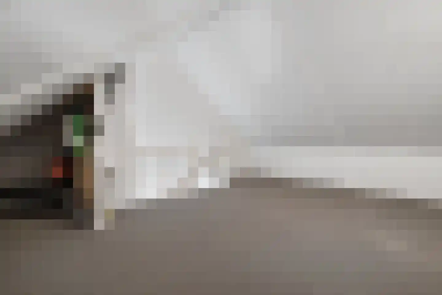 Leeuw 13 Elst thumbnail 22