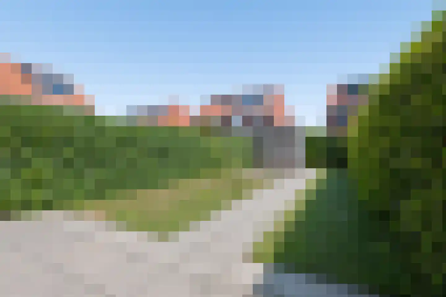 Leeuw 13 Elst thumbnail 23