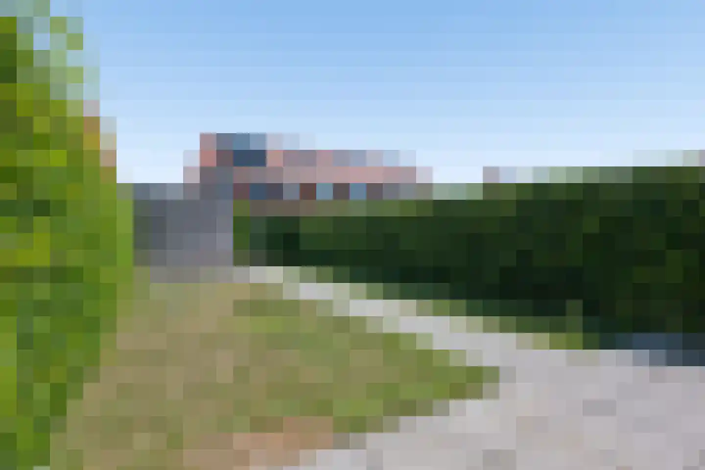 Leeuw 13 Elst thumbnail 24