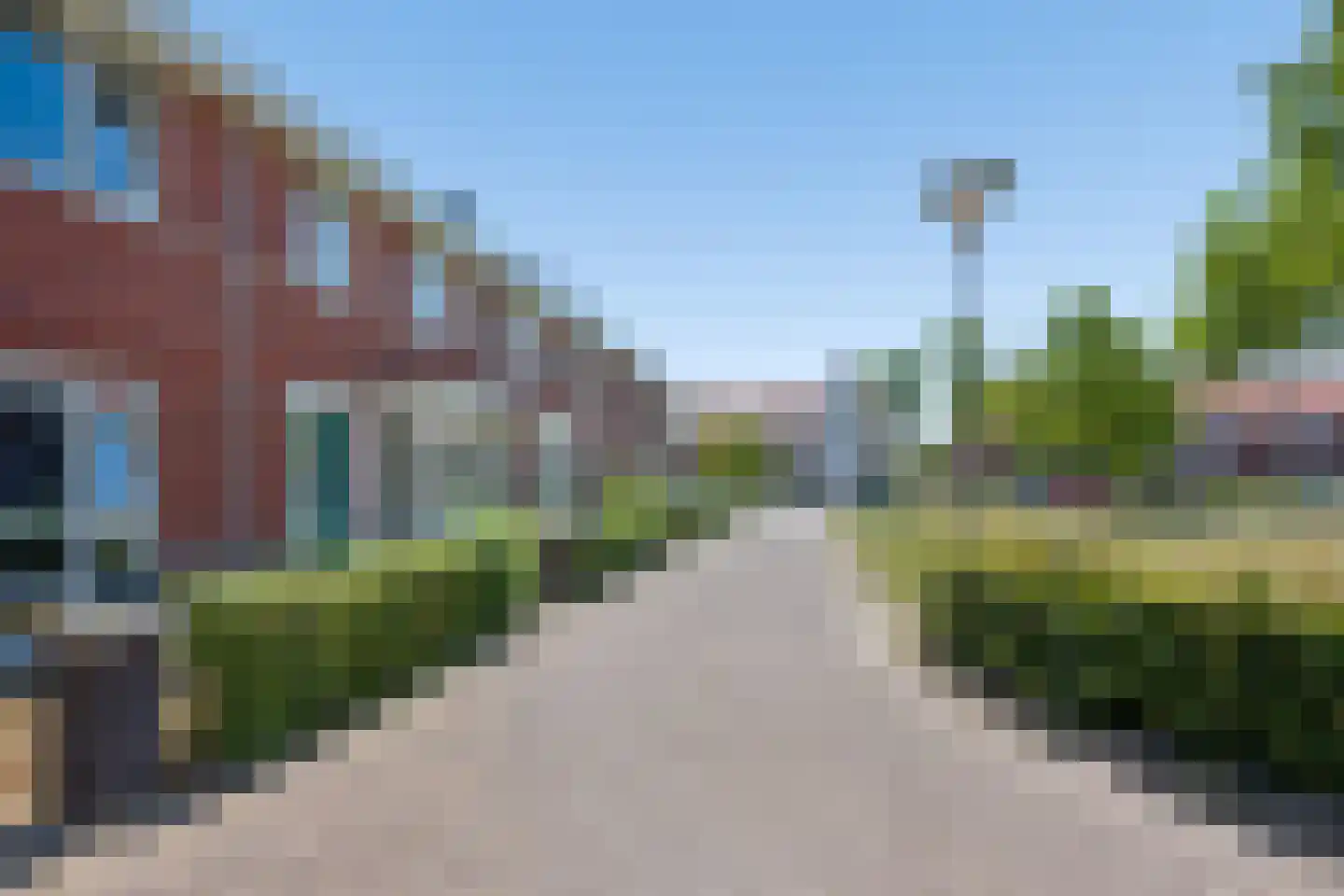 Leeuw 13 Elst thumbnail 34