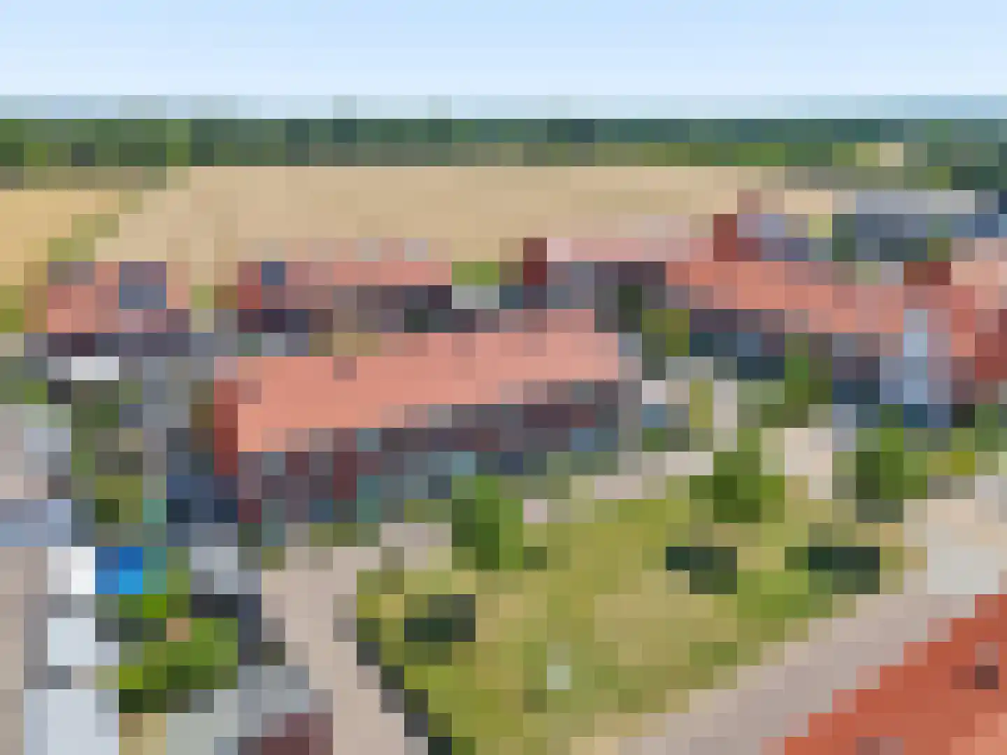 Leeuw 13 Elst thumbnail 36