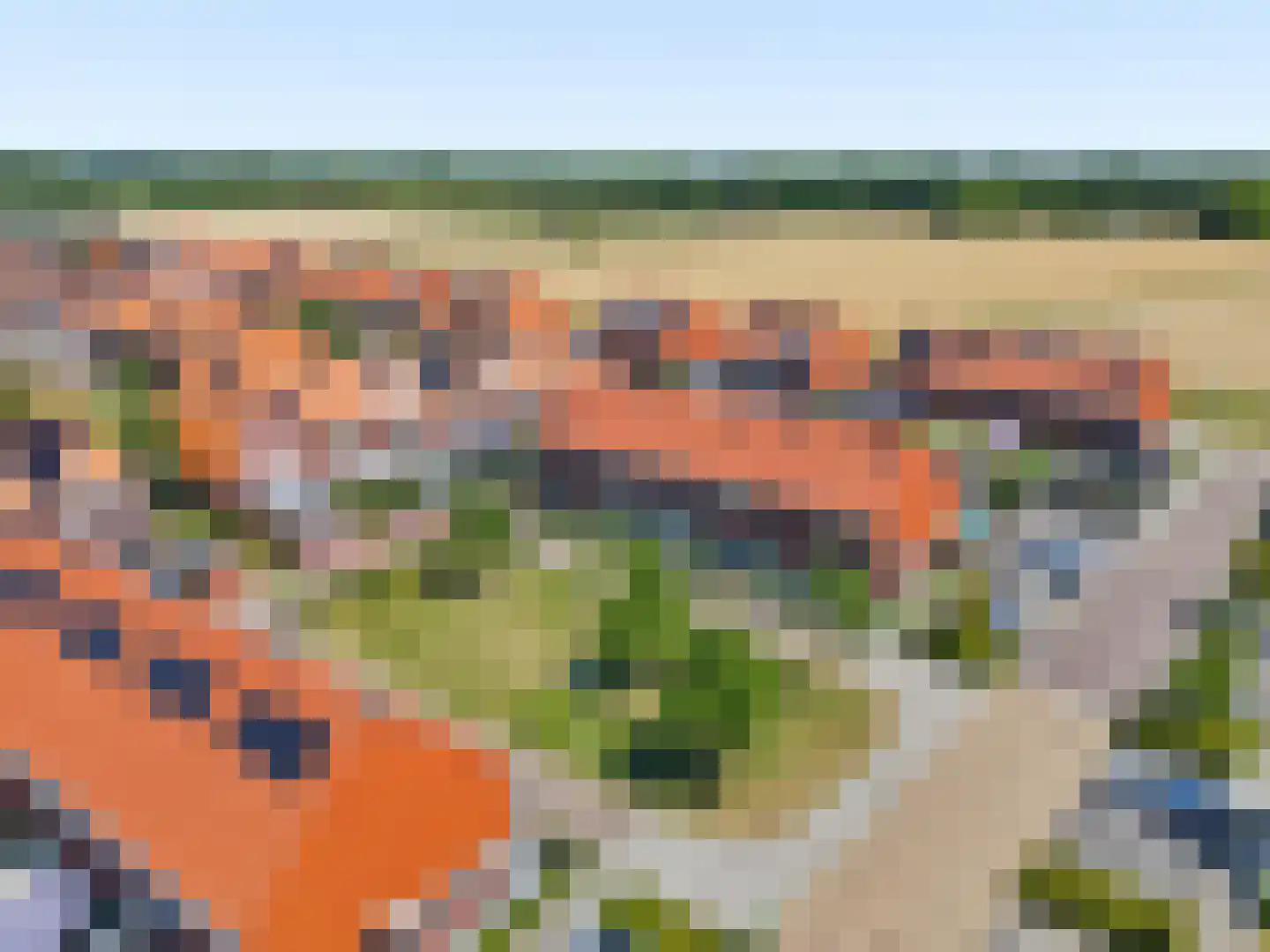 Leeuw 13 Elst thumbnail 37