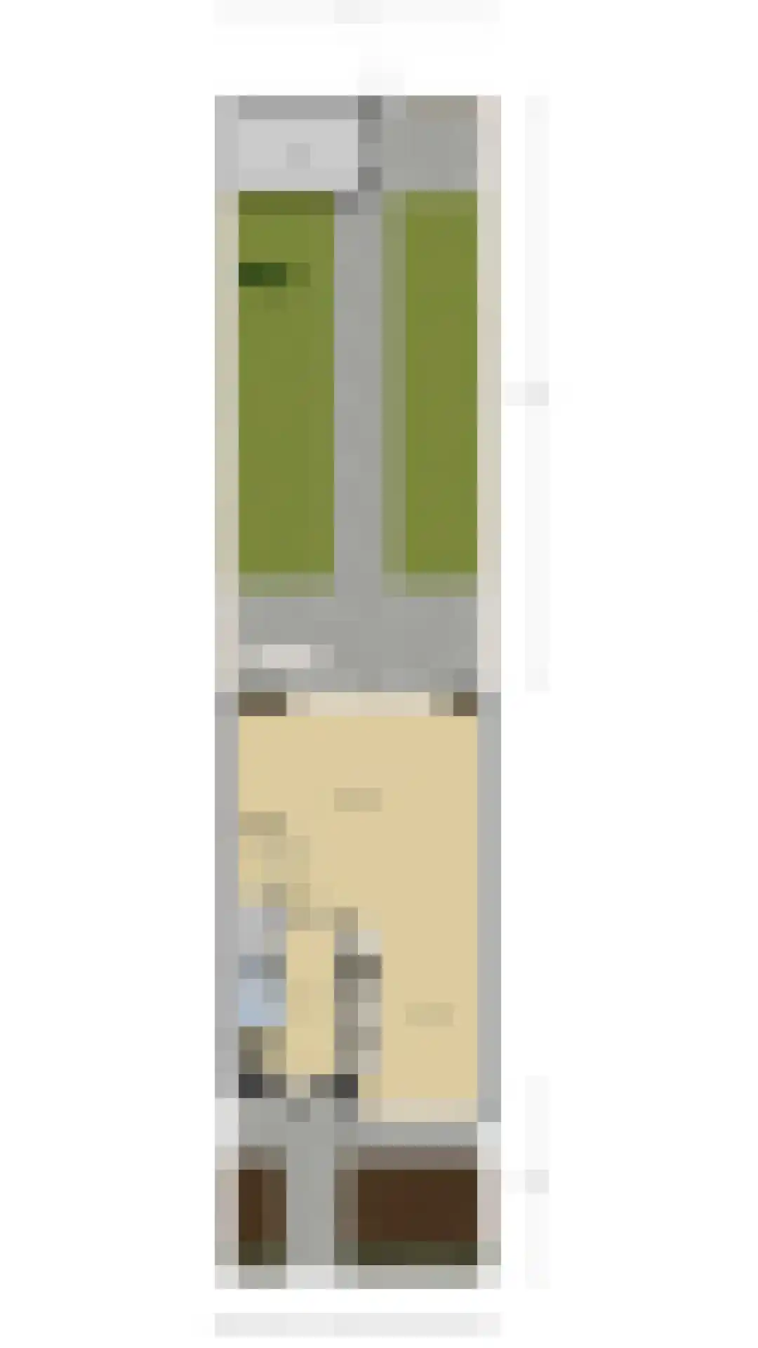 Leeuw 13 Elst thumbnail 42