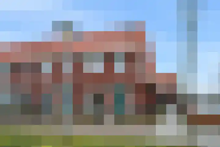 Leeuw 19 Elst