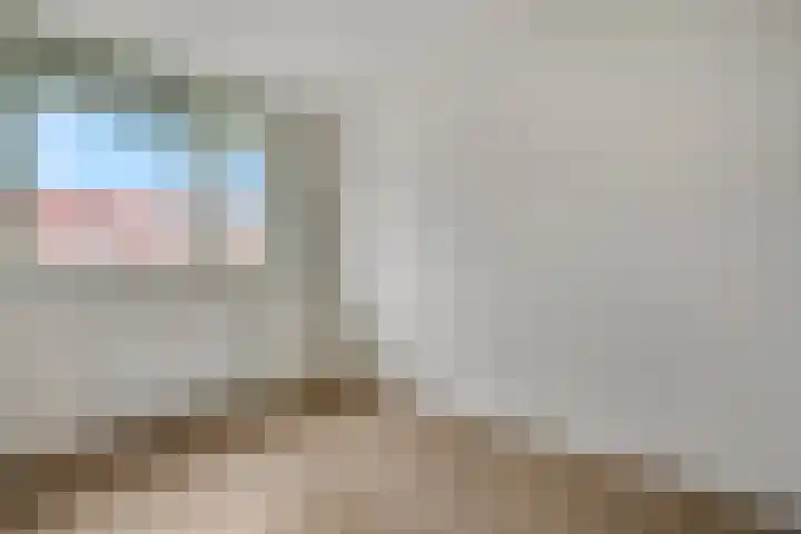 Leeuw 19 Elst thumbnail 14