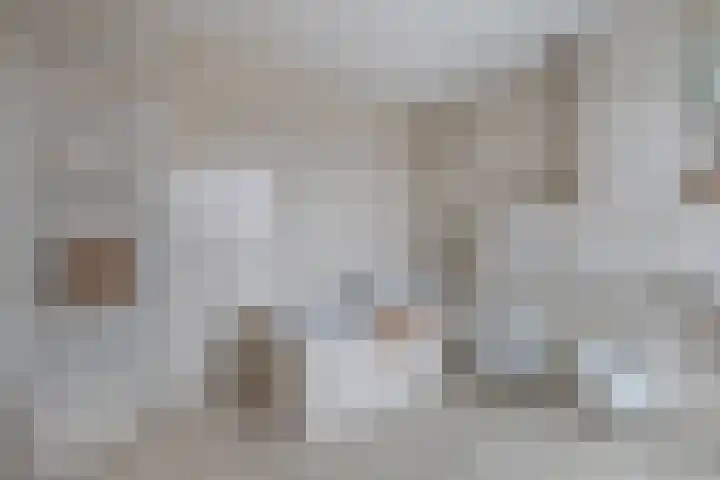 Leeuw 19 Elst thumbnail 17