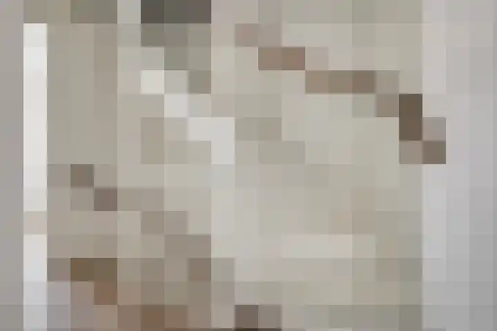 Leeuw 19 Elst thumbnail 17