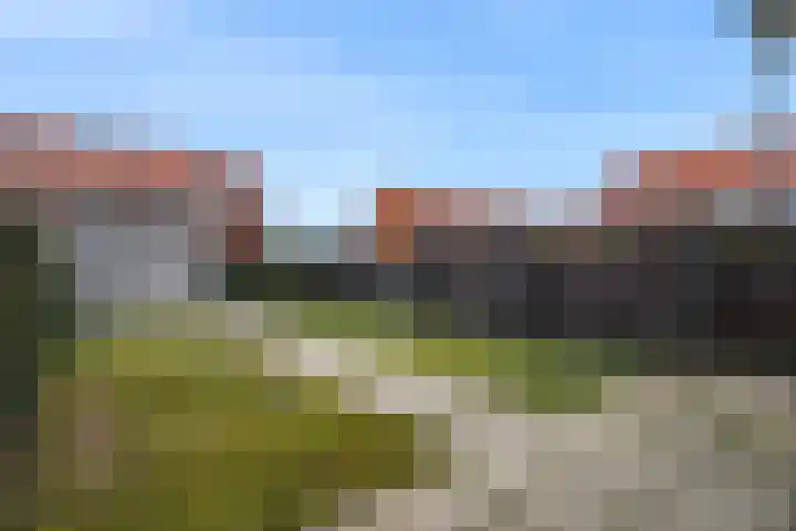 Leeuw 19 Elst thumbnail 21