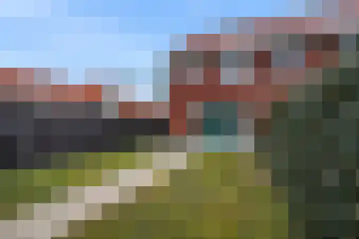 Leeuw 19 Elst thumbnail 22