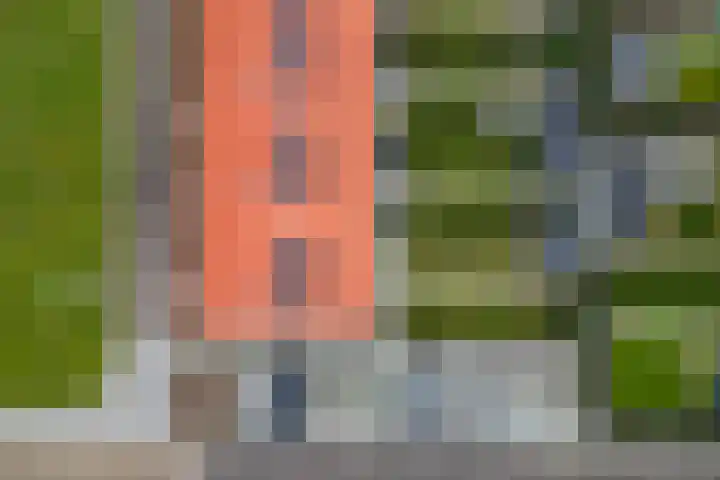 Leeuw 19 Elst thumbnail 24