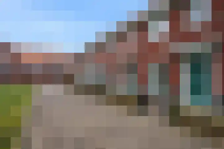 Leeuw 19 Elst thumbnail 28