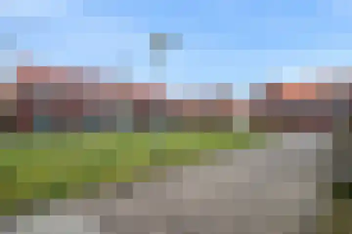 Leeuw 19 Elst thumbnail 29