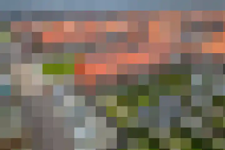 Leeuw 19 Elst thumbnail 31