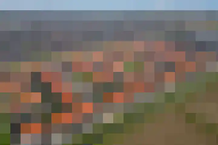Leeuw 19 Elst thumbnail 32