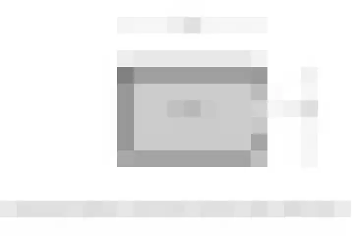Leeuw 19 Elst thumbnail 36