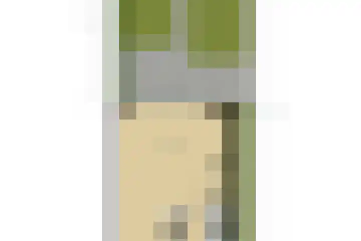 Leeuw 19 Elst thumbnail 37