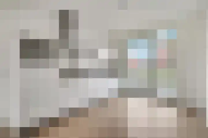 Leeuw 19 Elst thumbnail 6