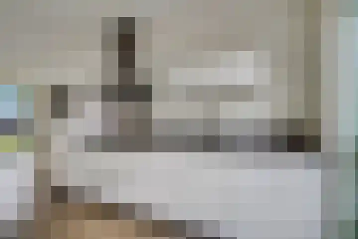 Leeuw 19 Elst thumbnail 7