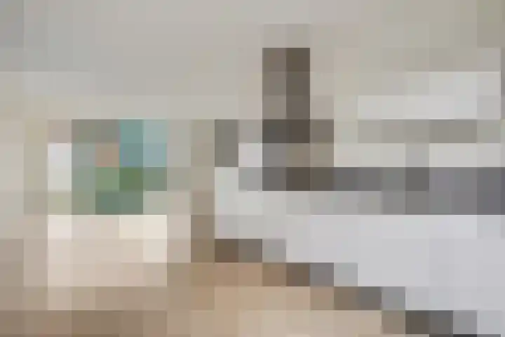 Leeuw 19 Elst thumbnail 8