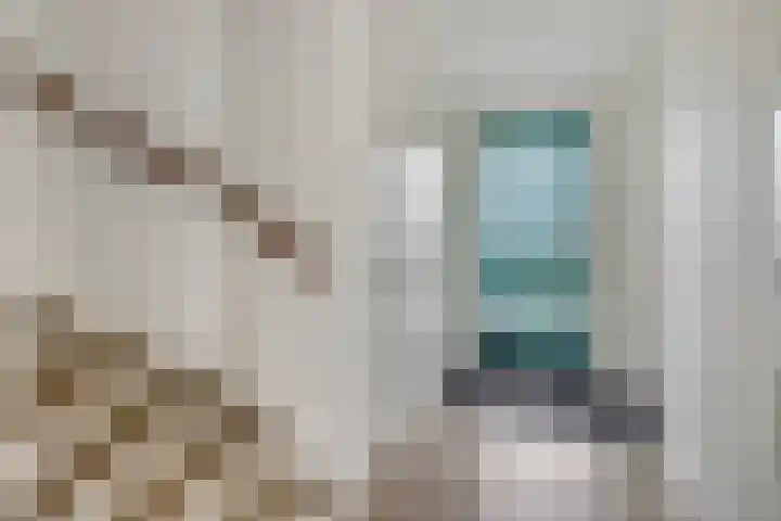 Leeuw 19 Elst thumbnail 9