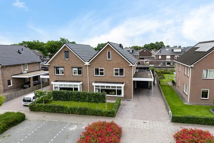 Leeuw 24 in Klazienaveen foto