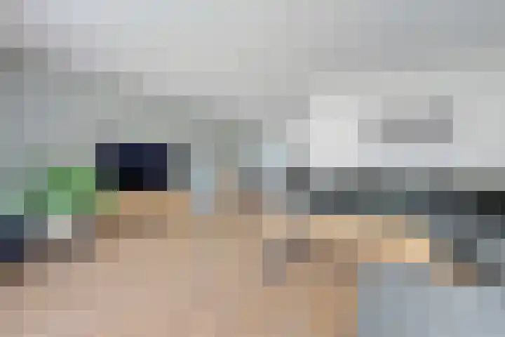 Leeuw 24 Klazienaveen thumbnail 11