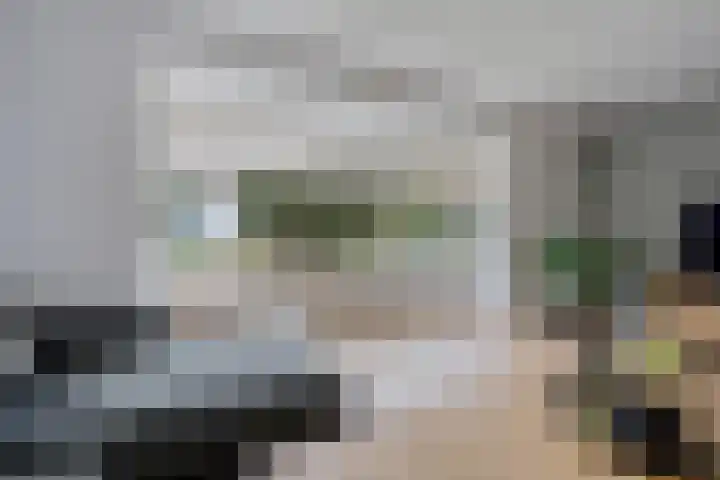 Leeuw 24 Klazienaveen thumbnail 12