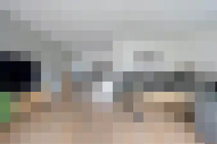 Leeuw 24 Klazienaveen thumbnail 13