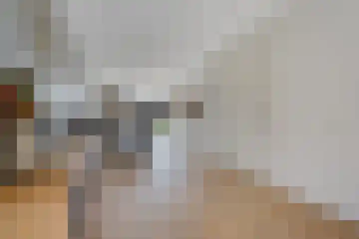 Leeuw 24 Klazienaveen thumbnail 14
