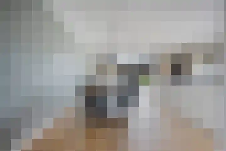Leeuw 24 Klazienaveen thumbnail 16