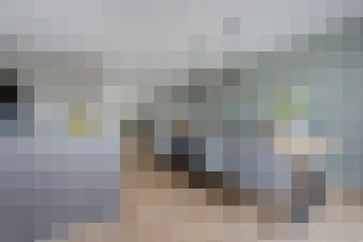 Leeuw 24 Klazienaveen thumbnail 17