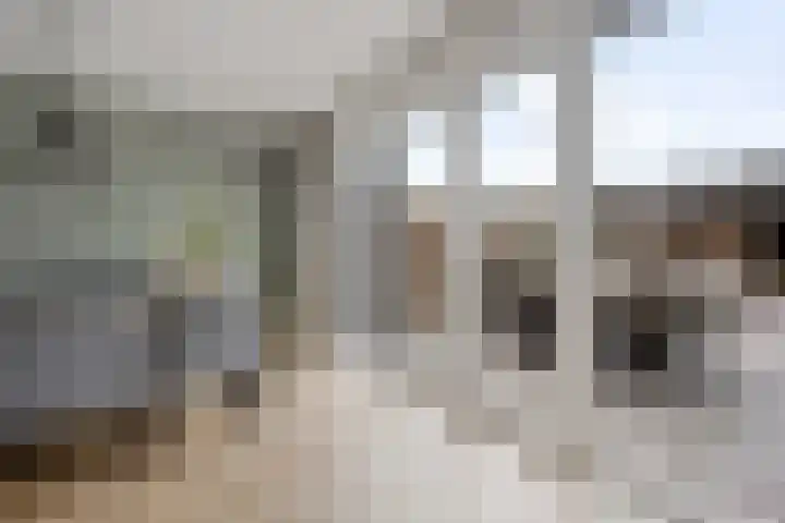 Leeuw 24 Klazienaveen thumbnail 18