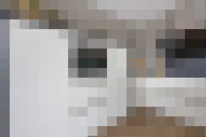 Leeuw 24 Klazienaveen thumbnail 20