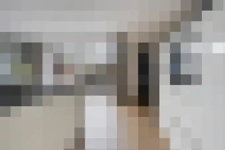 Leeuw 24 Klazienaveen thumbnail 22