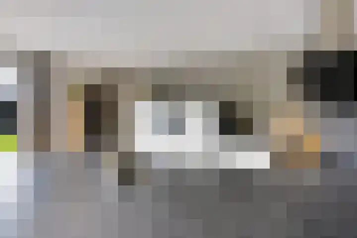 Leeuw 24 Klazienaveen thumbnail 23