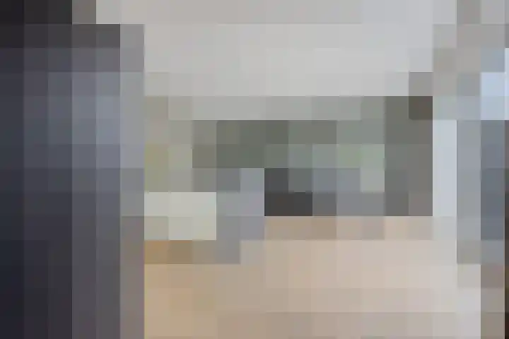 Leeuw 24 Klazienaveen thumbnail 24