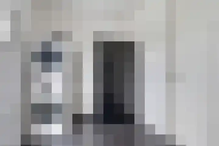 Leeuw 24 Klazienaveen thumbnail 25