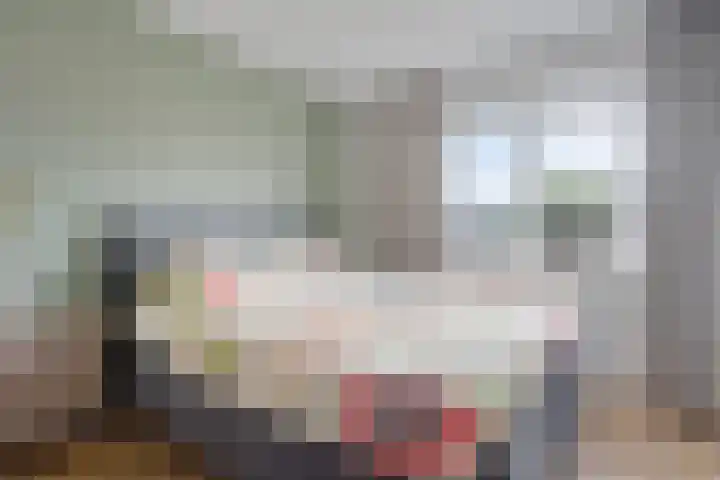 Leeuw 24 Klazienaveen thumbnail 27