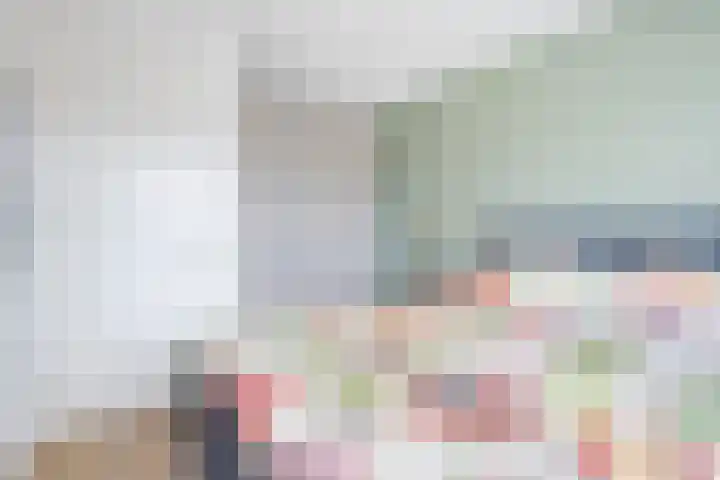 Leeuw 24 Klazienaveen thumbnail 28